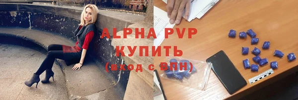 индика Алексин