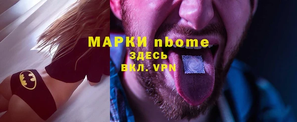 индика Алексин